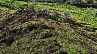 Fardi nehir geçidi, Akchour, talambote, Fas, Kuzey Afrika