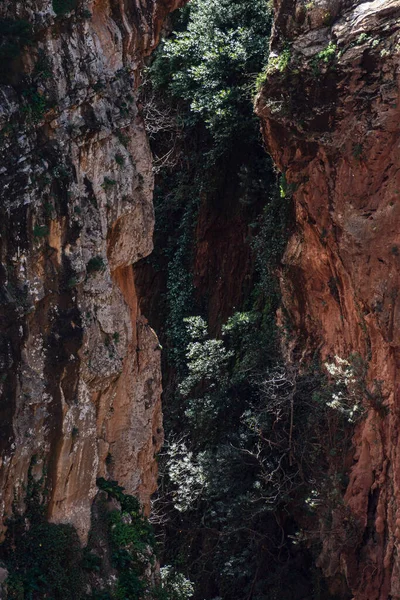 Tanrı 'nın Köprüsü, Fardi Nehri Boğazı, Akchour, Talambote, Fas, Kuzey Afrika