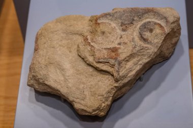 Kuyumcunun kalıbı, oyulmuş taş, M.Ö. ilk bin yıl, Huesca müzesi, Aragon topluluğu, İspanya