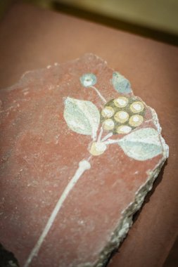 Duvar resmi, İber dönemi M.Ö. 350-50 arası, Dormer Caddesi, Huesca Müzesi, Aragon Topluluğu, İspanya