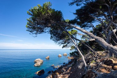 Resifler ve adacıklar, Llucalcari, Deia, Serra de Tramuntana 'nın doğal alanı, Mayorka, Balearic Adaları, İspanya