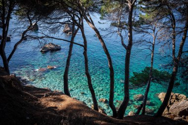 Resifler ve adacıklar, Llucalcari, Deia, Serra de Tramuntana 'nın doğal alanı, Mayorka, Balearic Adaları, İspanya