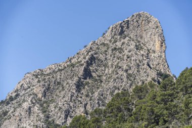 Puig de Son Nasi, Bunyola, Serra de Tramuntana 'nın doğal alanı, Mallorca, Balearic Adaları, İspanya