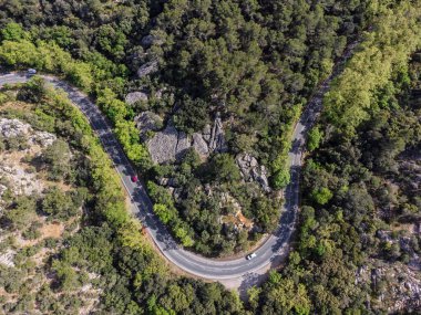 Esporlas yolunun eğrisi es Bosquet 'de, bir uçak ağacı ve holm meşesi ormanı, GR221, Serra de Tramuntana' nın doğal alanı, Mayorka, Balearic Adaları, İspanya