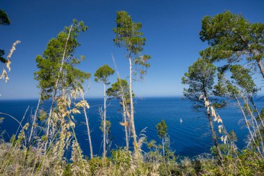Sa volta des general, Banyalbufar, Serra de Tramuntana 'nın doğal alanı, Mayorka, Balearic Adaları, İspanya