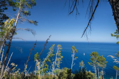 Sa volta des general, Banyalbufar, Serra de Tramuntana 'nın doğal alanı, Mayorka, Balearic Adaları, İspanya