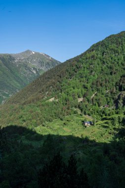 Bir çiftliğin yanında otlayan inekler, Sorteny Valley Doğal Parkı, Ordino Bölgesi, Andorra, Avrupa