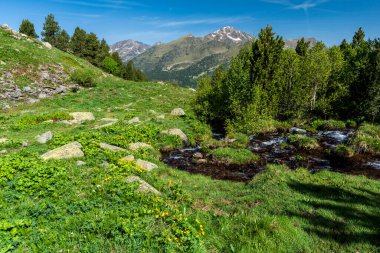 Pleta de duedra ve Barınak Borda de Sorteny, Sorteny Valley Doğal Parkı, Ordino Bölgesi, Andorra, Avrupa