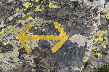 Sarı yosunlu bir kayanın üzerindeki sarı oklar Sorteny Valley Doğal Parkı, Ordino Bölgesi, Andorra, Avrupa