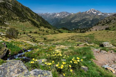 Sorteny Vadisi, Sorteny Vadisi Doğal Parkı, Ordino Bölgesi, Andorra, Avrupa