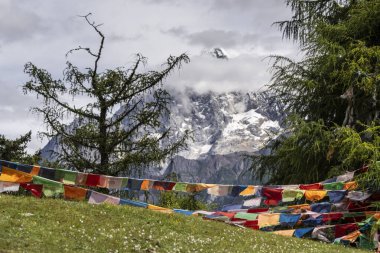 Haizigou Vadisi, Siguniang Dağı Ulusal Parkı, Qionglai Dağları, Ngawa Tibetan ve Qiang Özerk Bölgesi, Sichuan, Çin