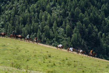 Haizigou Vadisi, Siguniang Dağı Ulusal Parkı, Qionglai Dağları, Ngawa Tibetan ve Qiang Özerk Bölgesi, Sichuan, Çin