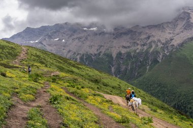Haizigou Vadisi, Siguniang Dağı Ulusal Parkı, Qionglai Dağları, Ngawa Tibetan ve Qiang Özerk Bölgesi, Sichuan, Çin