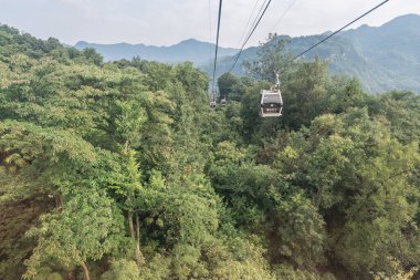 Çay tarlalarının üzerinden geçen Wannian teleferiği, Emeishan, Leshan Bölgesi, Sichuan, Çin Halk Cumhuriyeti, Asya