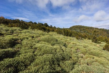 Sierra de Sevil, Sobrarbe, Huesca ili, Aragon Özerk Topluluğu, Pireneler, İspanya, Avrupa