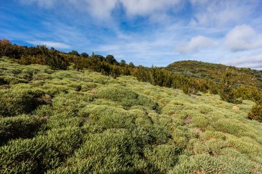 Sierra de Sevil, Sobrarbe, Huesca ili, Aragon Özerk Topluluğu, Pireneler, İspanya, Avrupa
