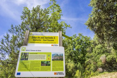 Guara Doğal Parkı, Huesca, Aragon Topluluğu, İspanya 'nın Plano, Sierra ve Kanyonları' ndan holm meşesi.