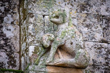 Bir kuzuyu yiyen kurt, San Pedro da Mezquita, Ulusal Anıt, La Merca Belediyesi, Orense, Galiçya, İspanya