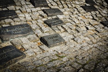 Polonya 'nın, Sanok' un, Voyvoda 'nın, Polonya' nın, Doğu Avrupa 'nın özgürleşmesi anıtı