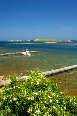 Na Macaret, Addaia Limanı 'nda yelkenli. Minorca. Biyosfer rezervi. Balear Adaları. İspanya.