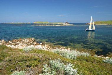 Yelkenli Addaia Limanı 'na varmak üzere. Minorca. Biyosfer rezervi. Balear Adaları. İspanya.