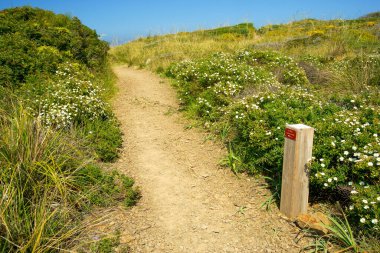 (Cami de Cavalls) GR223, S 'Albufera des Grau Doğal Parkı. Biyosfer rezervi. Minorca. Balear Adaları. İspanya.