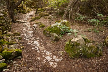 Cami de Cavalls, GR223. Barranc de Ses Penyes. Menorka. Balear Adaları. İspanya.