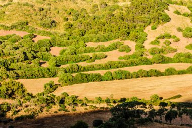 Otlaklar ve çalılıklar, Santa Cecilia çiftliği, Ferreries, Menorca, Balear Adaları, İspanya, Avrupa