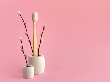 Bamboo toothbrush and pussy willow branches in concrete stands, pink background, spring eco concept, copy space