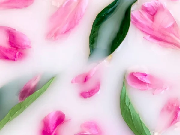 Petali rosa e foglie verdi di peonia in acqua lattiginosa, motivo naturale. Focus selettivo. — Foto Stock