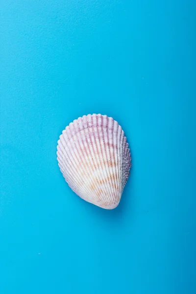 Sommerurlaub Attrappe Hintergrund. Notizbuch leere Seite mit Reisegegenständen auf blauem Tisch. Muscheln, Kieselsteine, Blick von oben. — Stockfoto