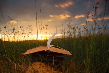 Arka plan bulanık fanlanan sayfalarında ciltli kitap günlüğü açıldı