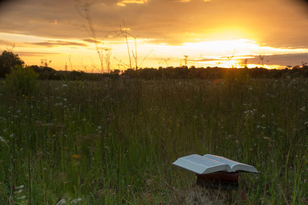 Opened hardback book Bible against sunset