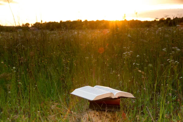 Otwarta książka w twardej oprawie Biblii przed zachodem słońca — Zdjęcie stockowe