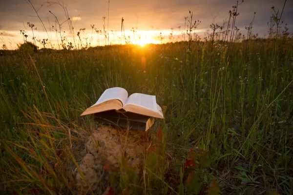 Diario aperto con libri rigidi e pagine a ventaglio su sfondo sfocato — Foto Stock