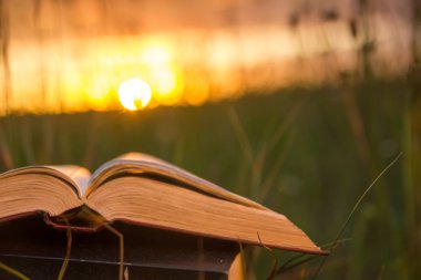 Günbatımı karşı fanlanan sayfa ciltli kitap günlüğü açtı