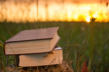 Günbatımı karşı fanlanan sayfa ciltli kitap günlüğü açtı