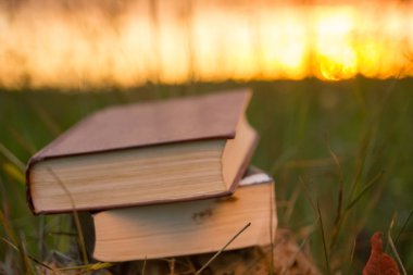 Günbatımı karşı fanlanan sayfa ciltli kitap günlüğü açtı