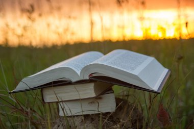 Günbatımı karşı fanlanan sayfa ciltli kitap günlüğü açtı