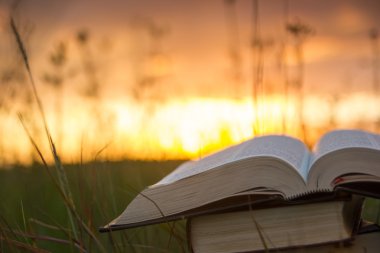 Günbatımı karşı fanlanan sayfa ciltli kitap günlüğü açtı