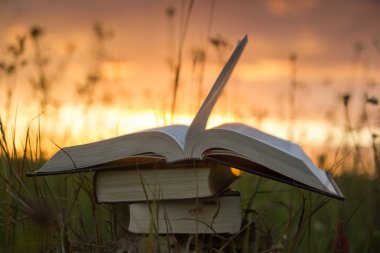 Günbatımı karşı fanlanan sayfa ciltli kitap günlüğü açtı