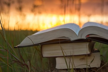 Günbatımı karşı fanlanan sayfa ciltli kitap günlüğü açtı
