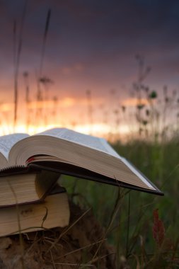 Günbatımı karşı fanlanan sayfa ciltli kitap günlüğü açtı
