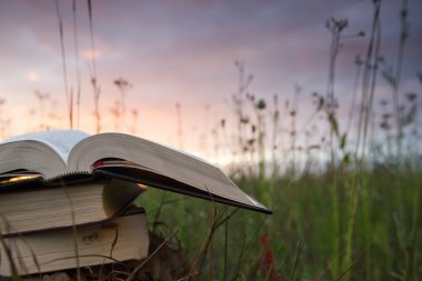Ciltli kitap günlüğü bulanık doğa arka plan üzerinde açılan