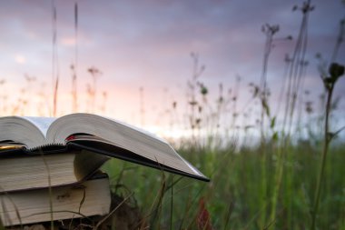 Ciltli kitap günlüğü bulanık doğa arka plan üzerinde açılan