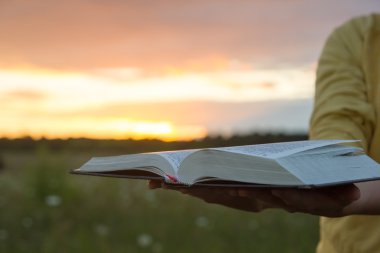 Tutan eller ciltli kitap, günbatımı karşı günlüğü açtı
