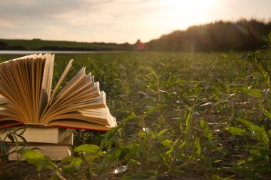 Okula dönüş, ciltli kitap günlüğü bulanık doğa arka plan üzerinde açılan