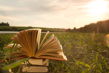 Okula dönüş, ciltli kitap günlüğü bulanık doğa arka plan üzerinde açılan
