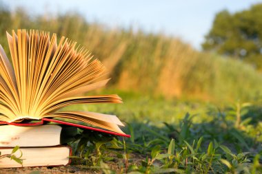 Okula dönüş, ciltli kitap günlüğü bulanık doğa arka plan üzerinde açılan