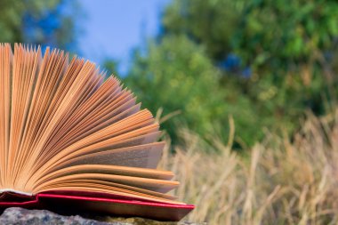 Açık ciltli kitap, bulanık doğa arka plan üzerinde fanlanan sayfaları